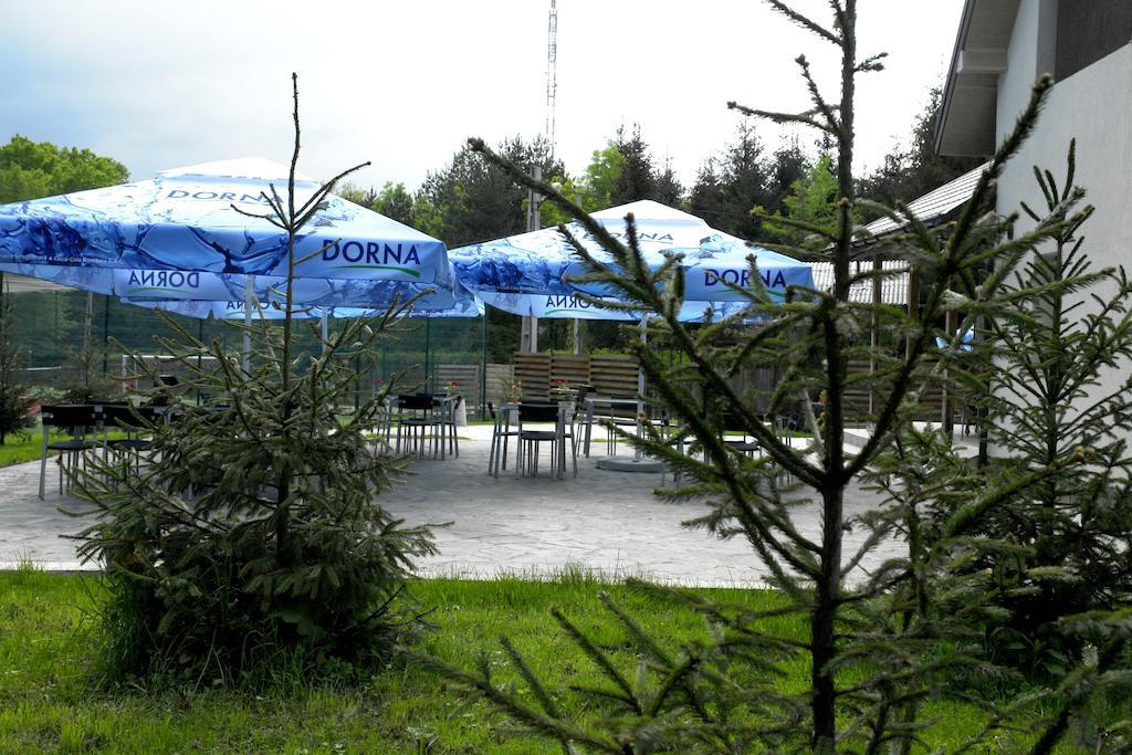Pensiunea Mirage Tomesti  エクステリア 写真